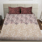 Cream Floral TC Cotton Blend Super King Size Fitted Bedsheet with 2 Pillow Covers